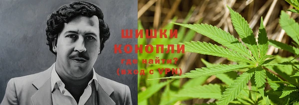 ALPHA PVP Мегион