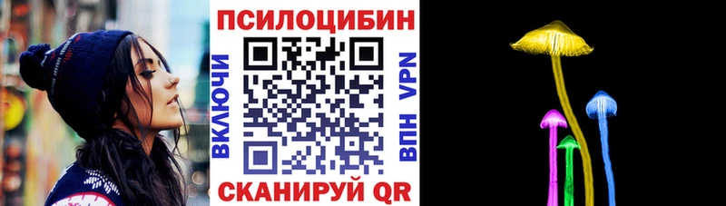 Псилоцибиновые грибы Cubensis  Елизаветинская 